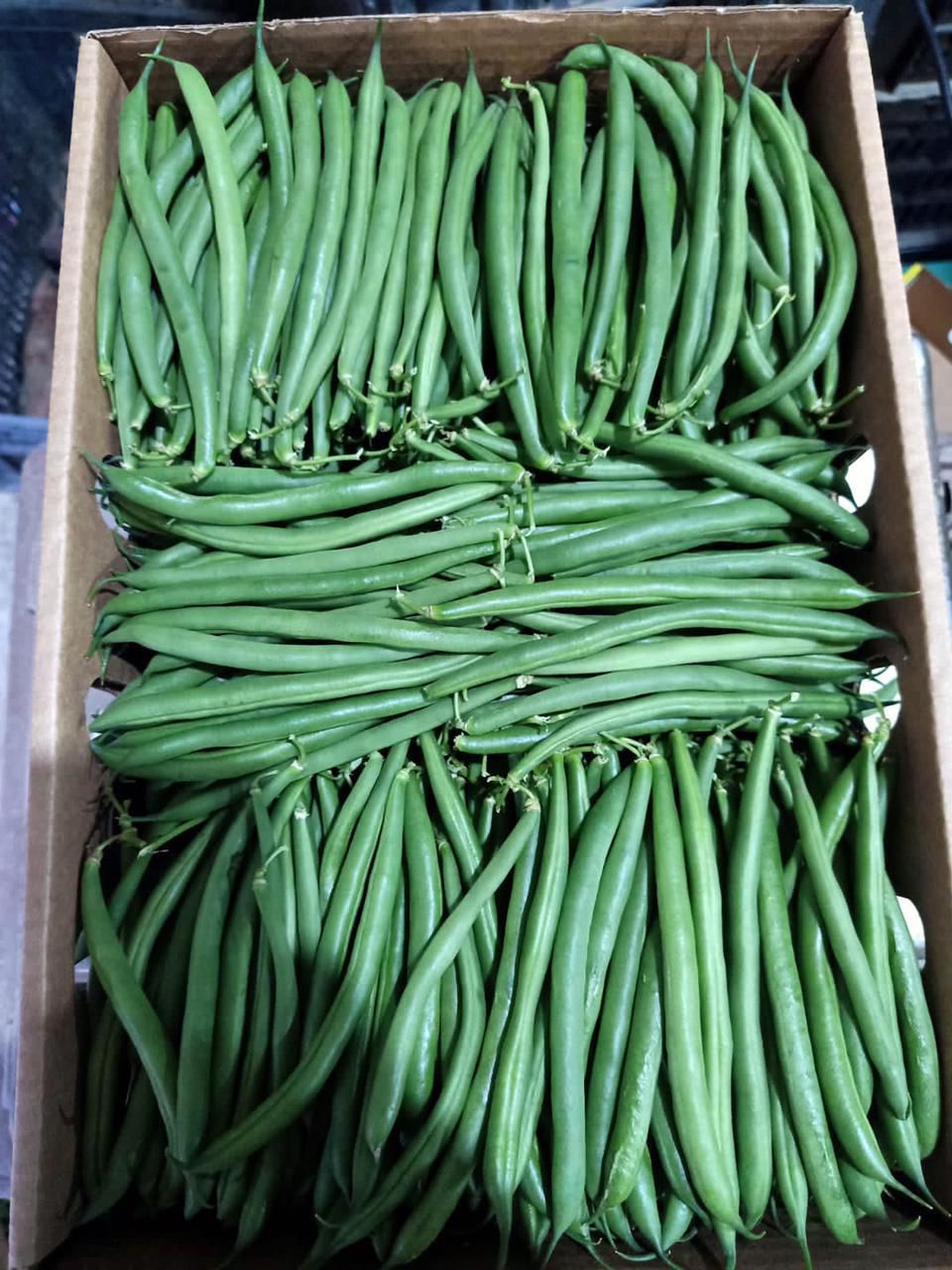 Green Beans